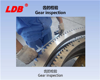 齒的檢驗(yàn) 齒的檢驗(yàn)